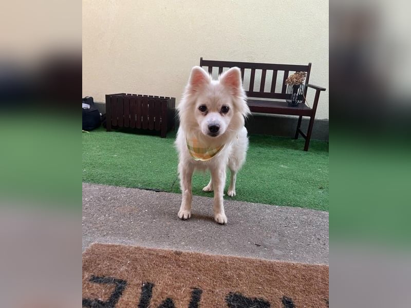 Fritz - gelassen, rüstiger Rentner