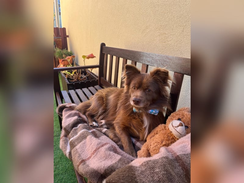 Timon SR - freundlich, gutherzig