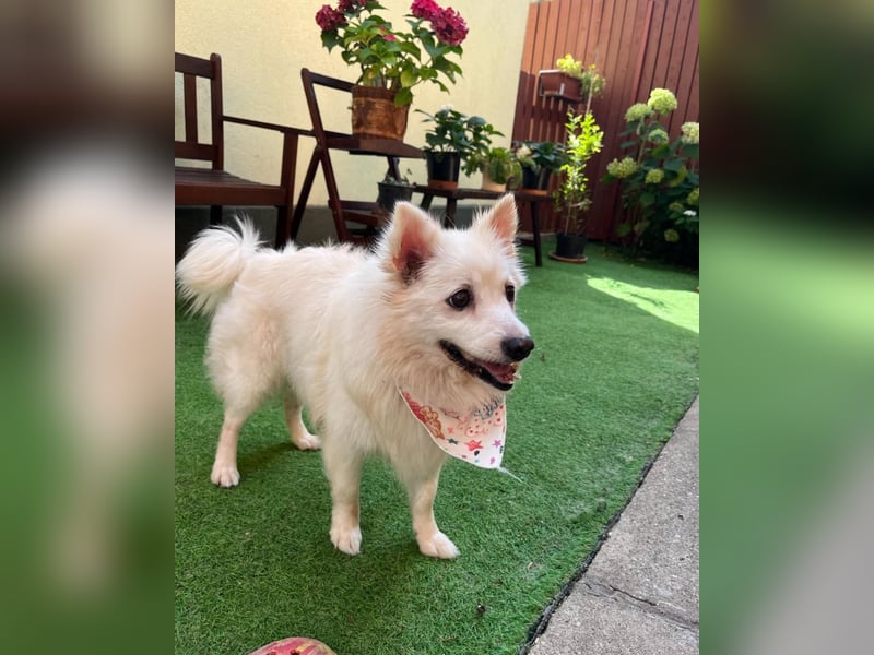 Rosie SR, super süß und freundlich