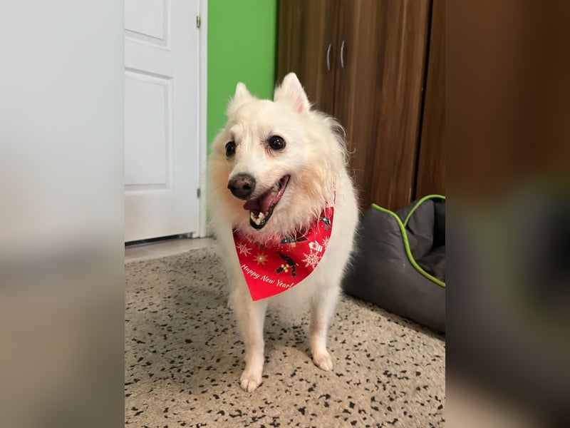 Glory SR - lieb, verschmust