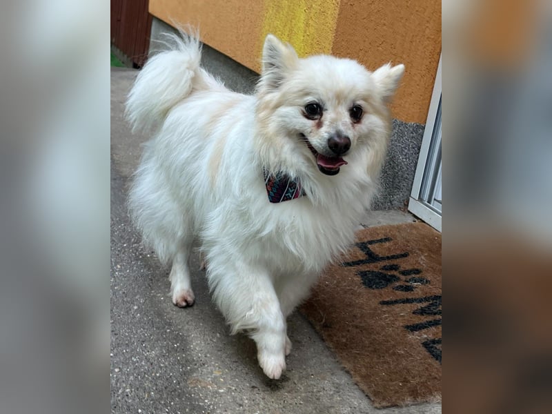 Momo SR - freundlich, aufgeschlossen 