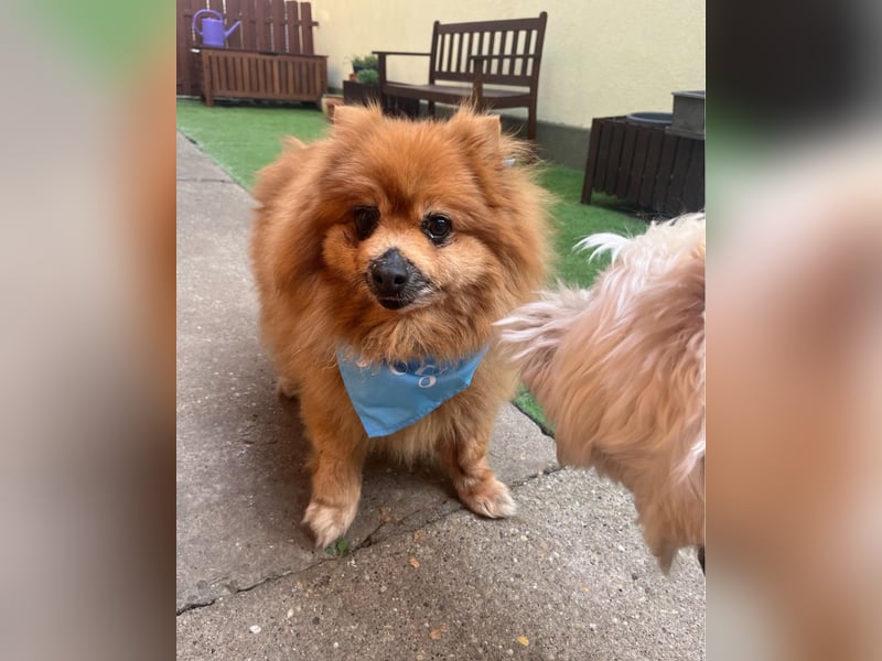 Eric SR - gemütlich, freundlich