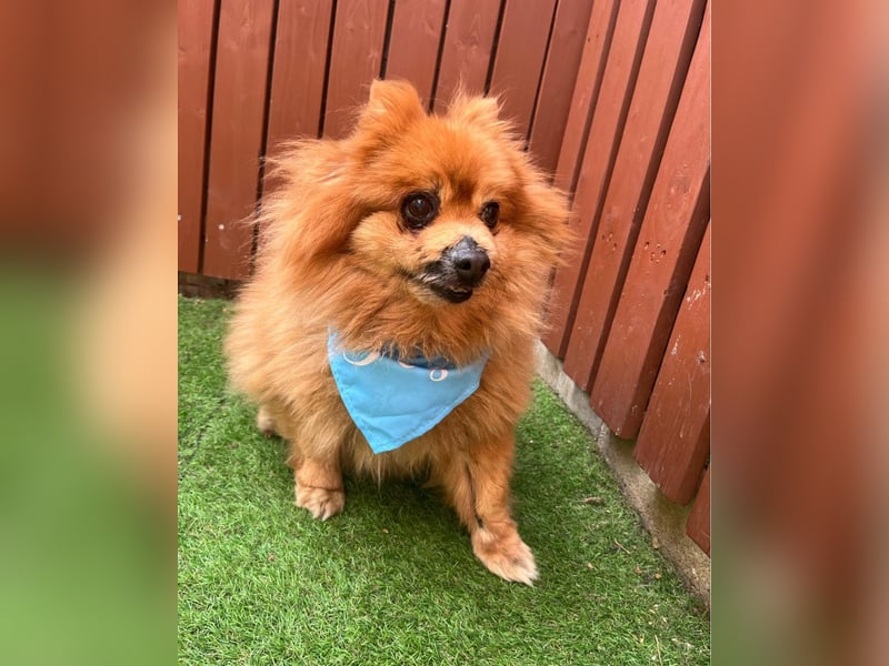 Eric SR - gemütlich, freundlich