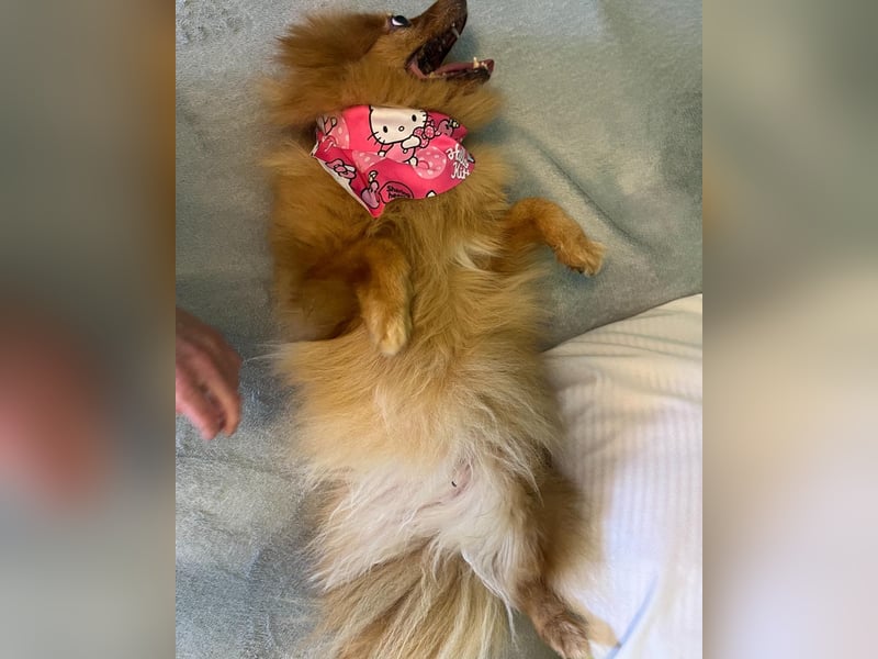 Lea SR - aufgeschlossen, lieb