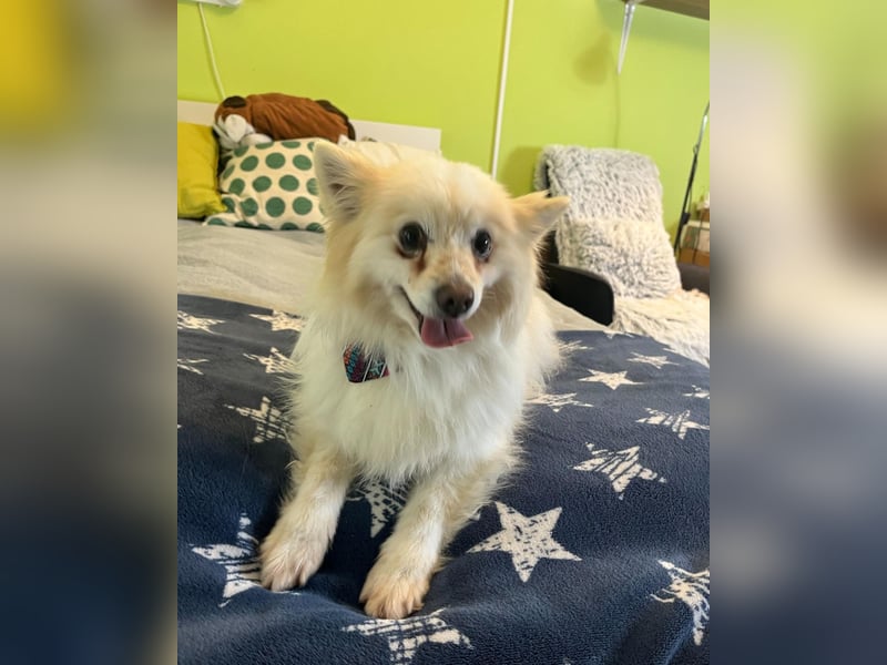 Momo SR - freundlich, aufgeschlossen 