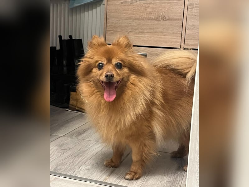 Lea SR - aufgeschlossen, lieb