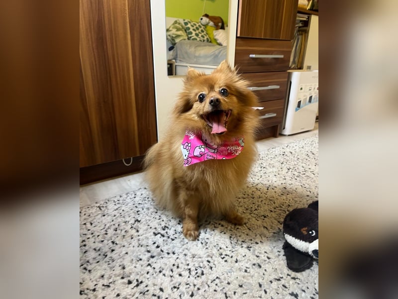 Lea SR - aufgeschlossen, lieb