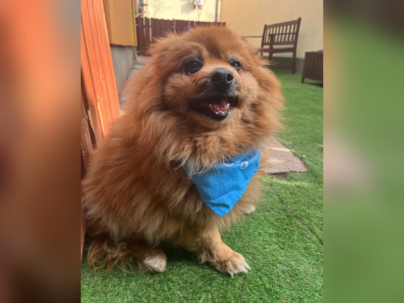 Eric SR - gemütlich, freundlich