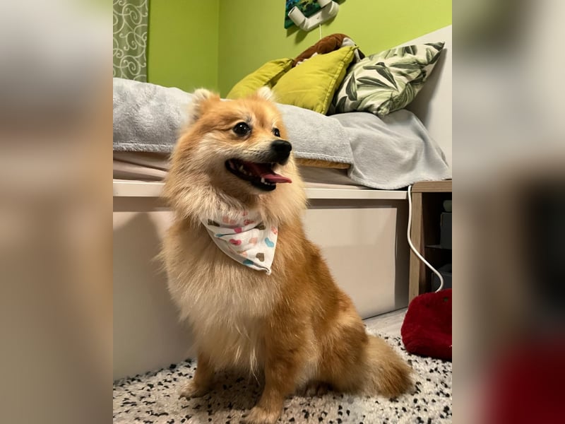 Kira SR - freundlich, aufgeschlossen