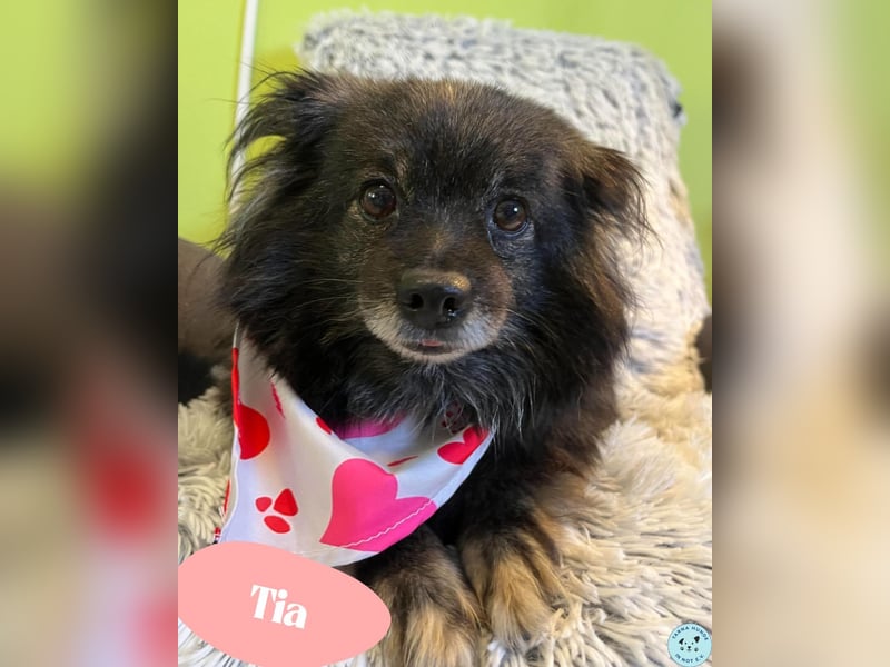 Tia - freundlich, aufgeschlossen 