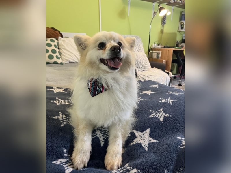 Momo SR - freundlich, aufgeschlossen 