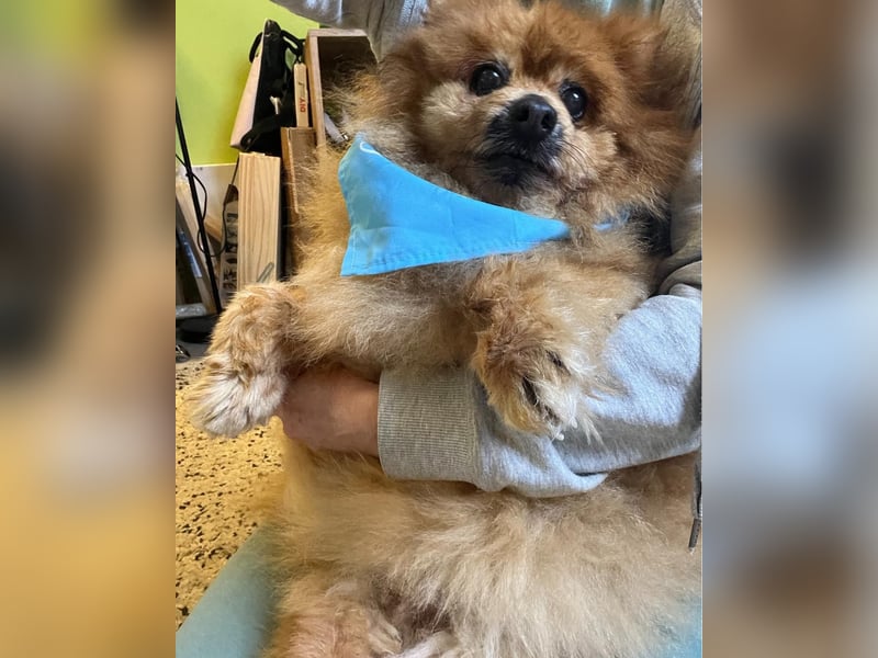 Eric SR - gemütlich, freundlich