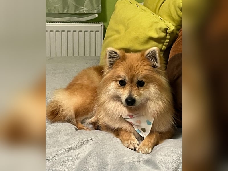 Kira SR - freundlich, aufgeschlossen