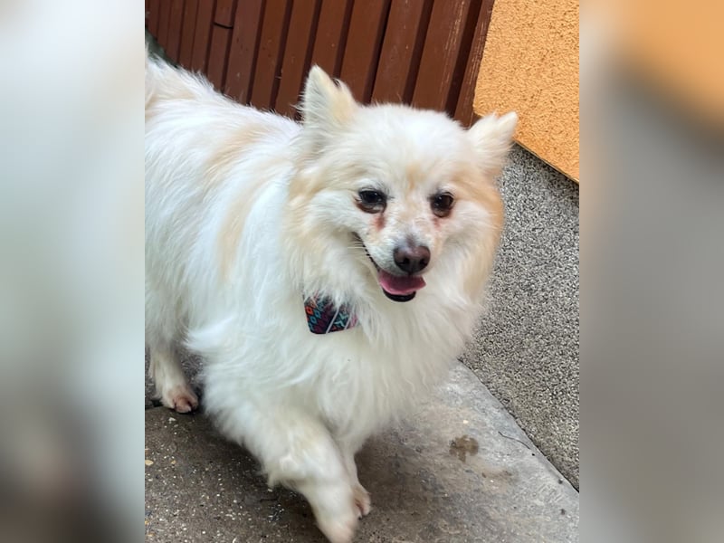 Momo SR - freundlich, aufgeschlossen 