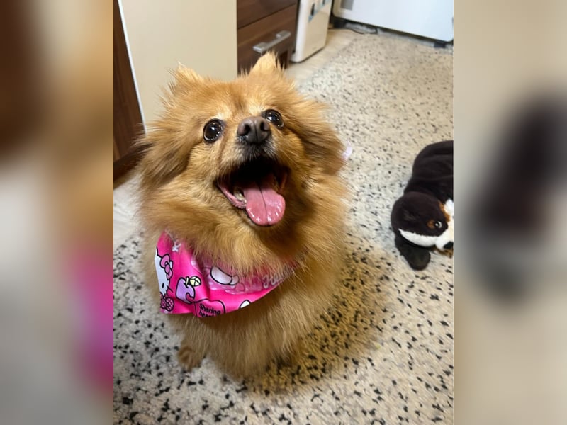 Lea SR - aufgeschlossen, lieb