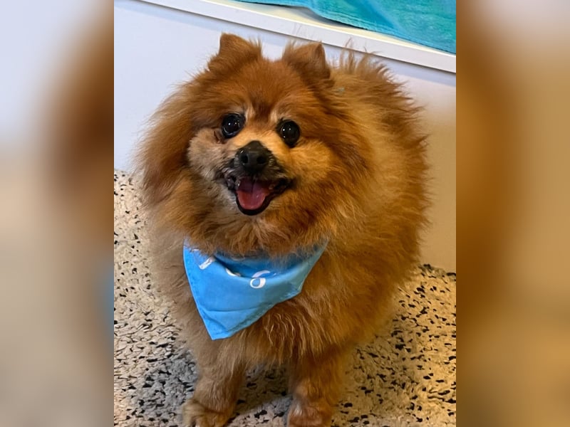 Eric SR - gemütlich, freundlich