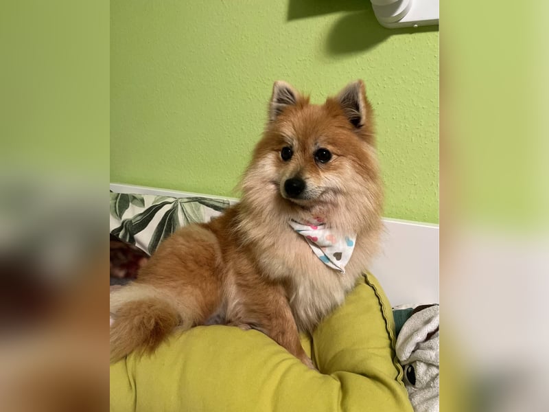 Kira SR - freundlich, aufgeschlossen