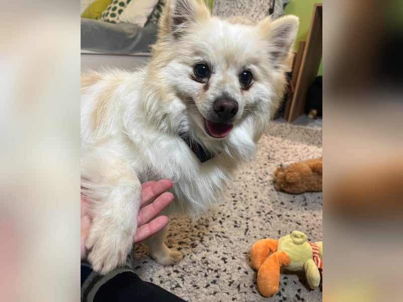 Momo SR - freundlich, aufgeschlossen 