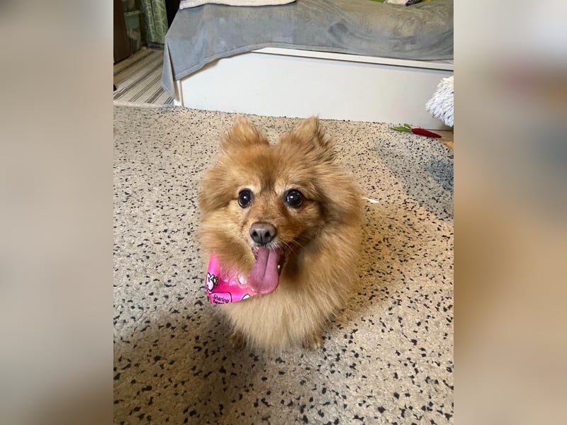 Lea SR - aufgeschlossen, lieb