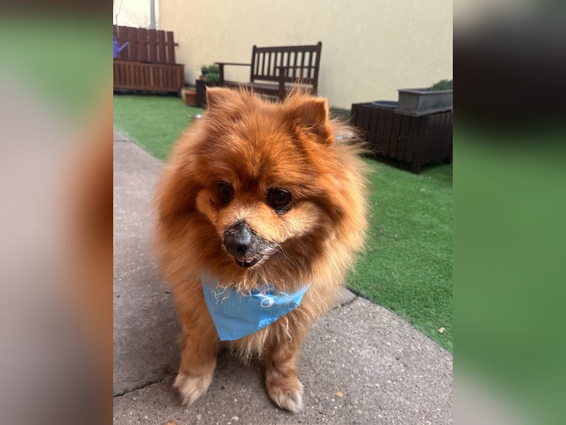 Eric SR - gemütlich, freundlich