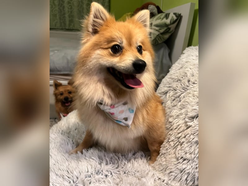 Kira SR - freundlich, aufgeschlossen