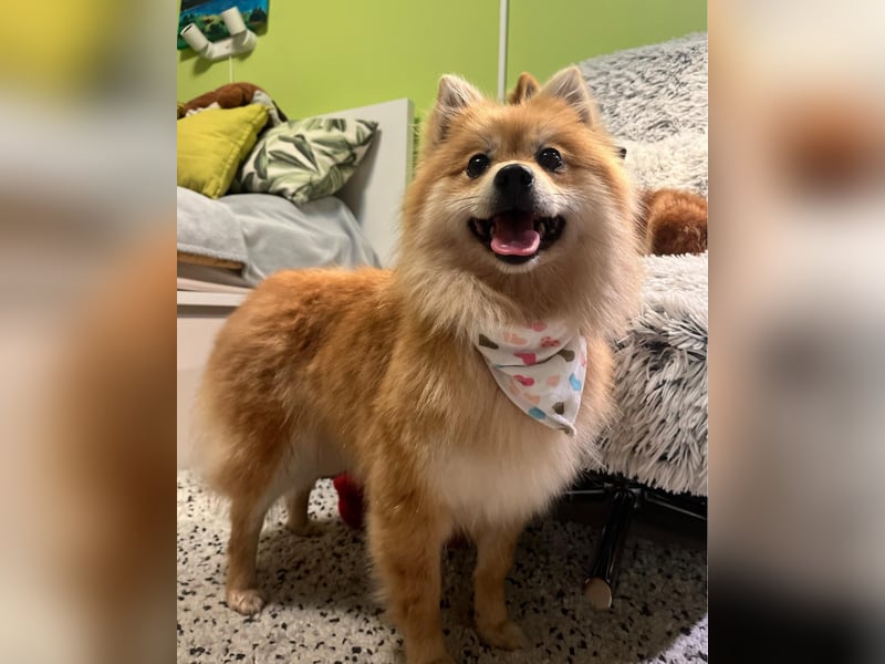 Kira SR - freundlich, aufgeschlossen