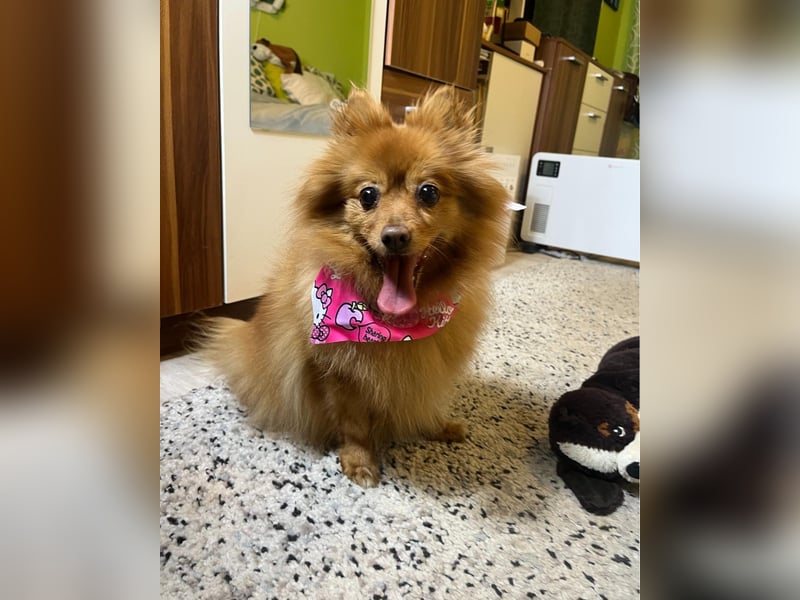 Lea SR - aufgeschlossen, lieb