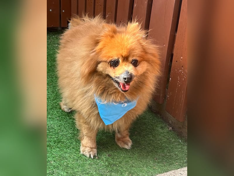 Eric SR - gemütlich, freundlich