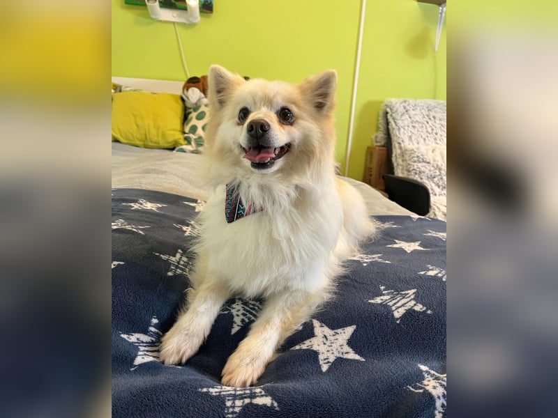 Momo SR - freundlich, aufgeschlossen 