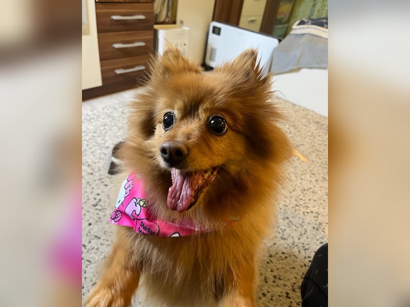 Lea SR - aufgeschlossen, lieb