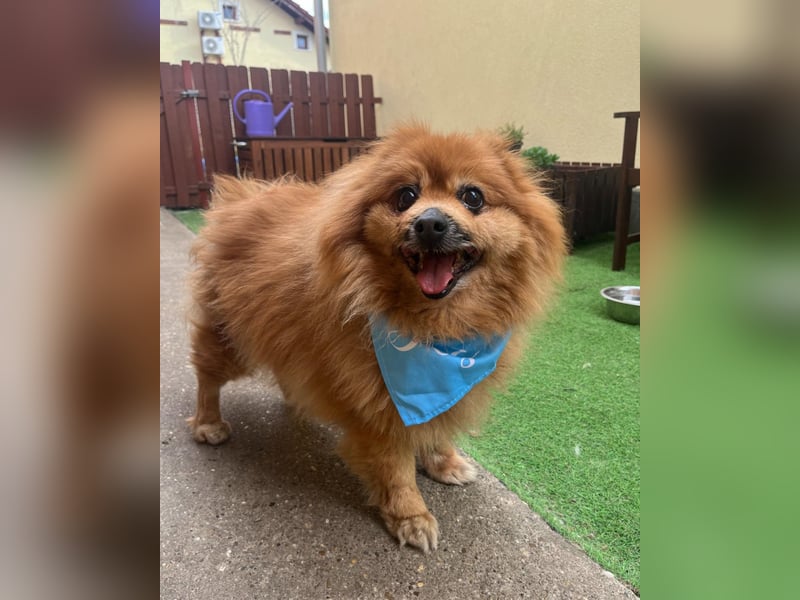 Eric SR - gemütlich, freundlich