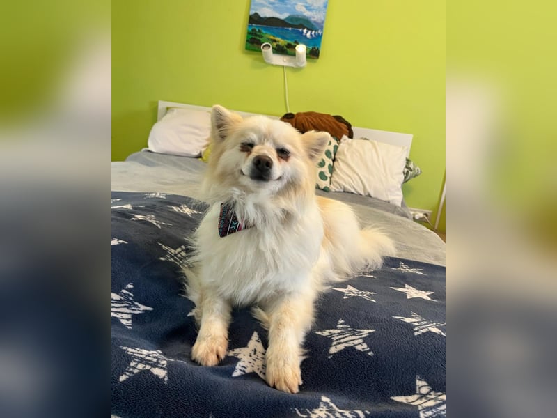 Momo SR - freundlich, aufgeschlossen 