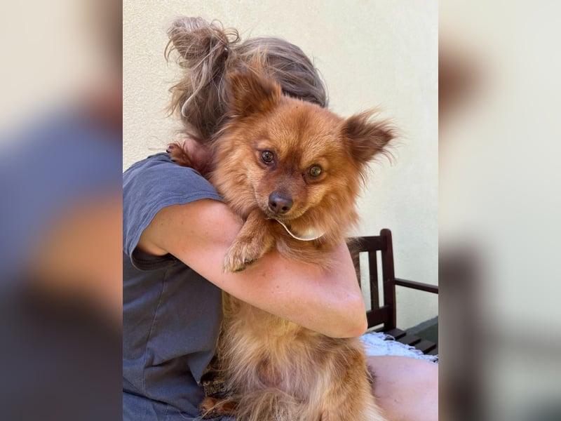 Tobi2 SR – unkomplizierter Sonnenschein sucht neues Glück