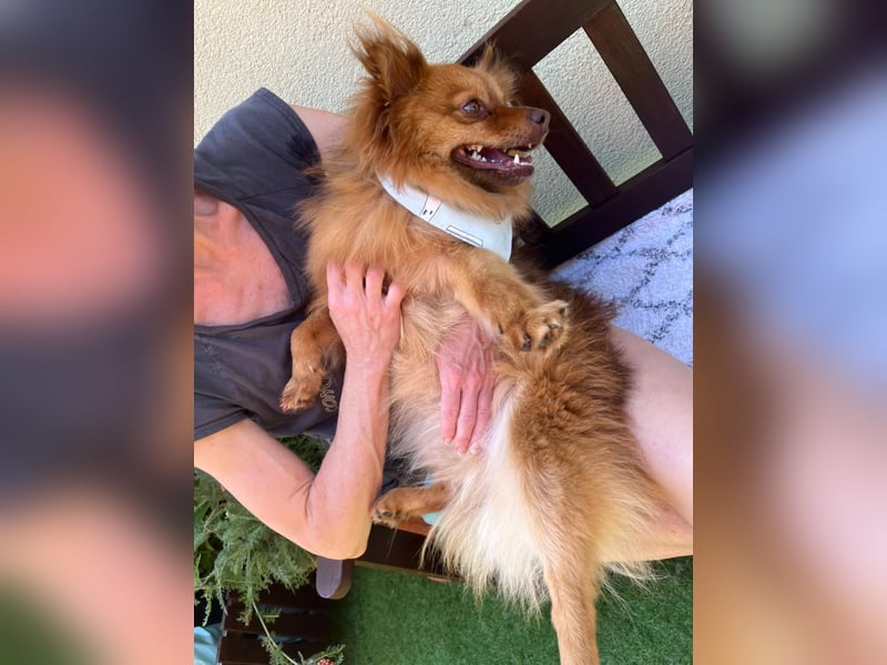 Tobi2 SR – unkomplizierter Sonnenschein sucht neues Glück