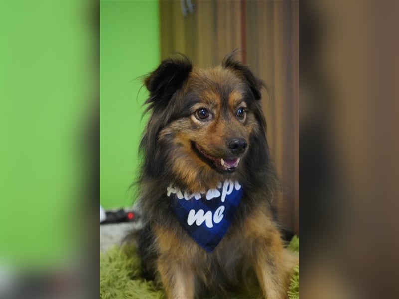 Buddy-SR, möchte dein Freund werden