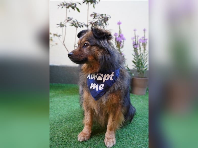Buddy-SR, möchte dein Freund werden