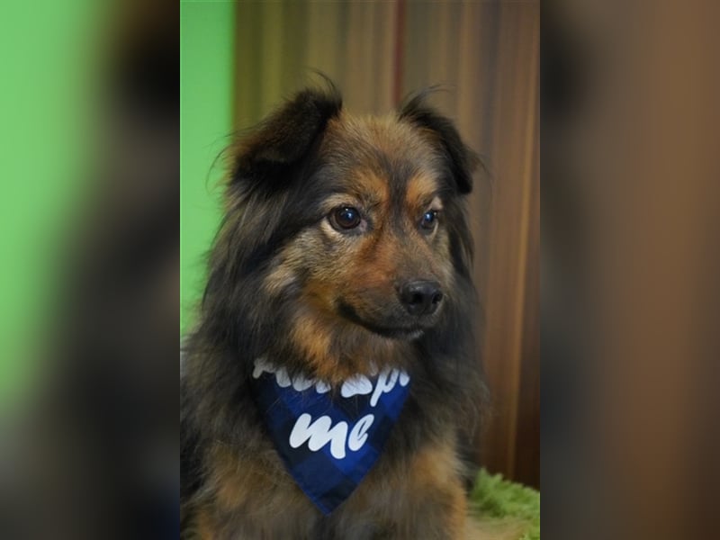 Buddy-SR, möchte dein Freund werden