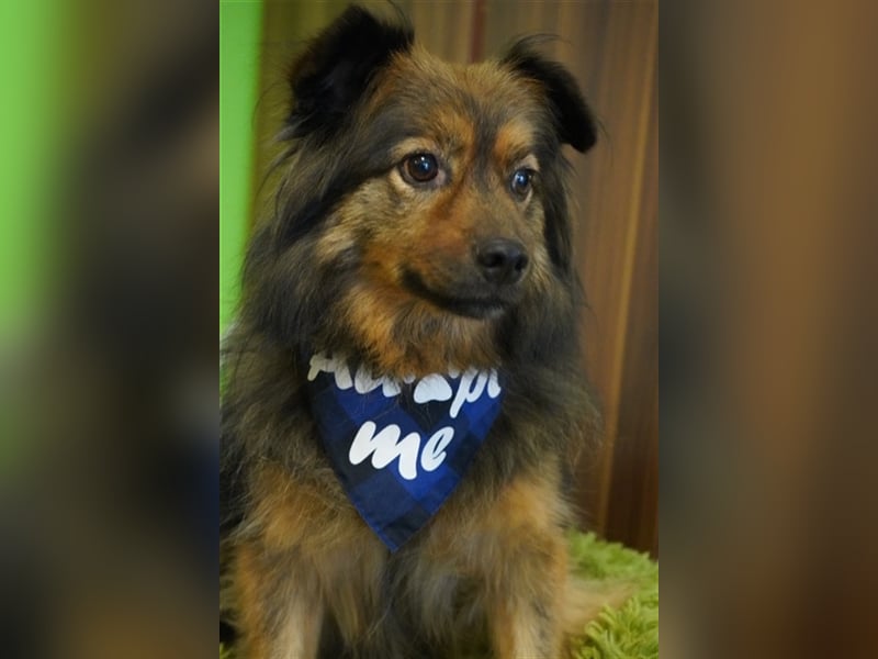 Buddy-SR, möchte dein Freund werden