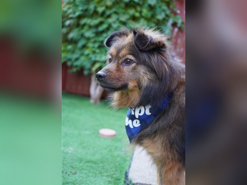 Buddy-SR, möchte dein Freund werden