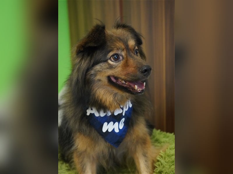 Buddy-SR, möchte dein Freund werden