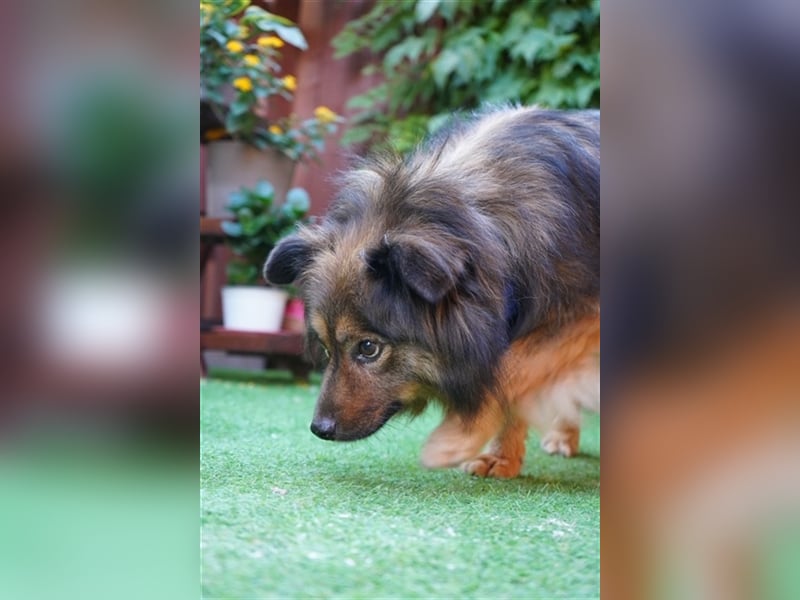 Buddy-SR, möchte dein Freund werden