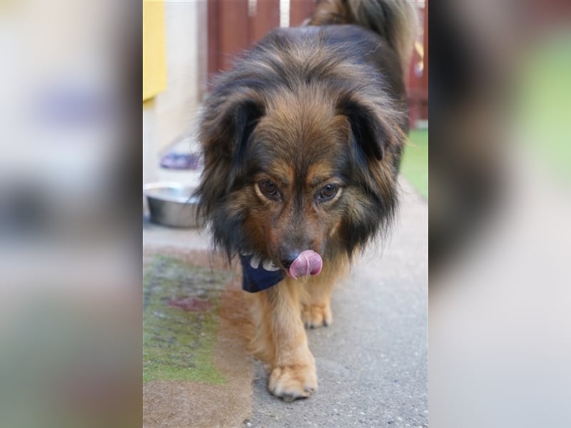 Buddy-SR, möchte dein Freund werden