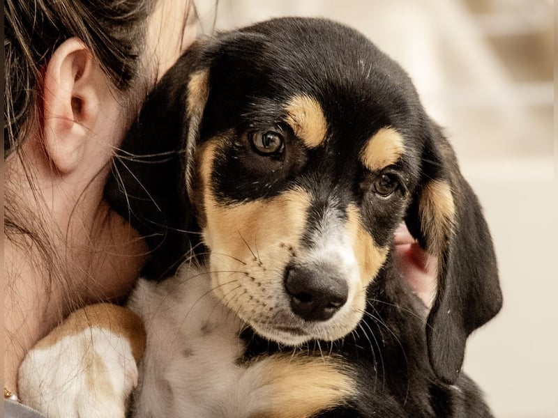 Kokonimix Tammy und Sammy suchen ein Zuhause