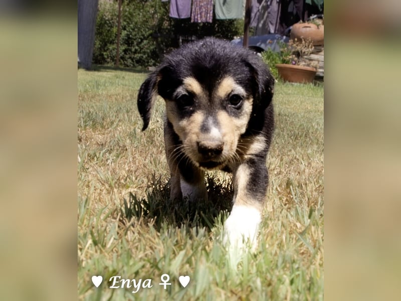 Jackie/Enya sucht ihre Familie ab Oktober