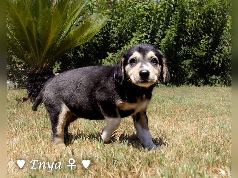 Jackie/Enya sucht ihre Familie ab Oktober