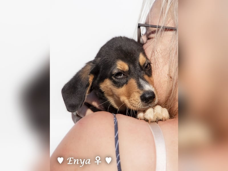 Jackie/Enya sucht ihre Familie ab Oktober