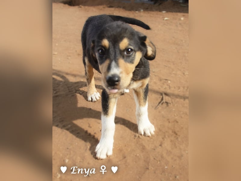 Jackie/Enya sucht ihre Familie ab Oktober