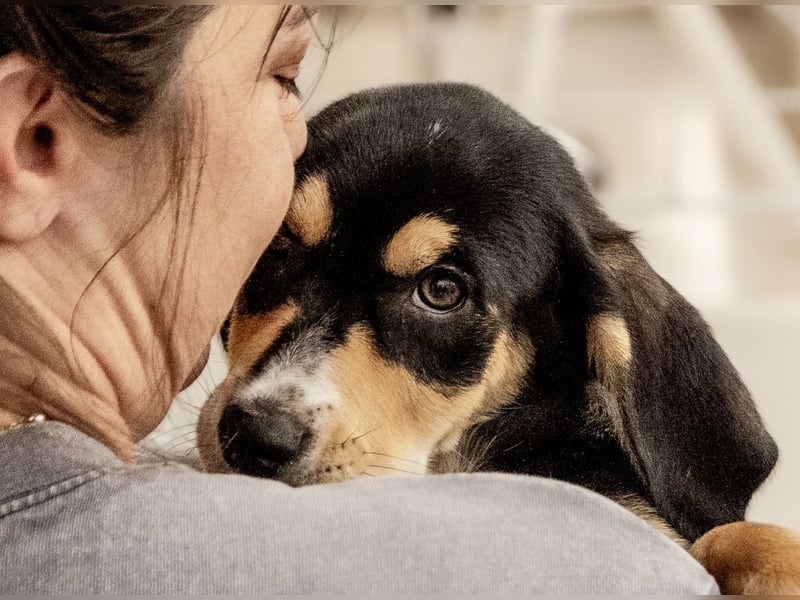 Kokonimix Tammy und Sammy suchen ein Zuhause