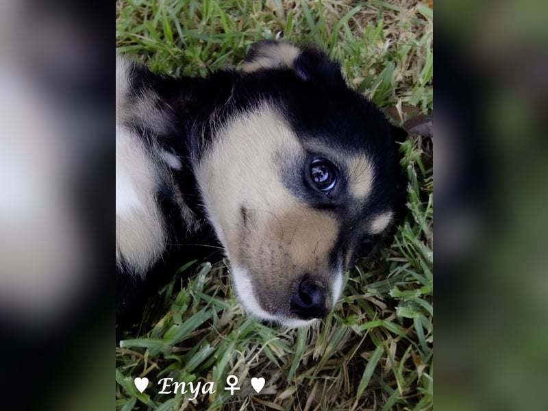 Jackie/Enya sucht ihre Familie ab Oktober