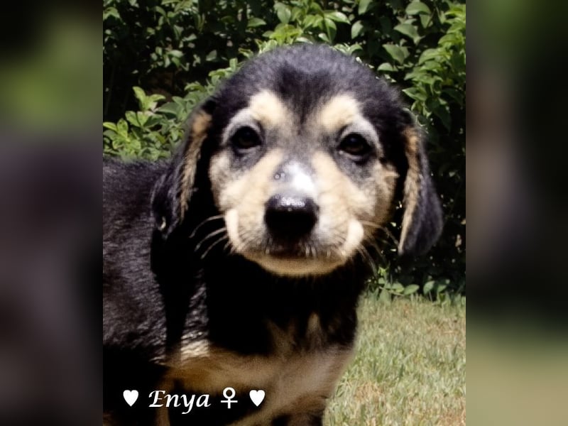 Jackie/Enya sucht ihre Familie ab Oktober